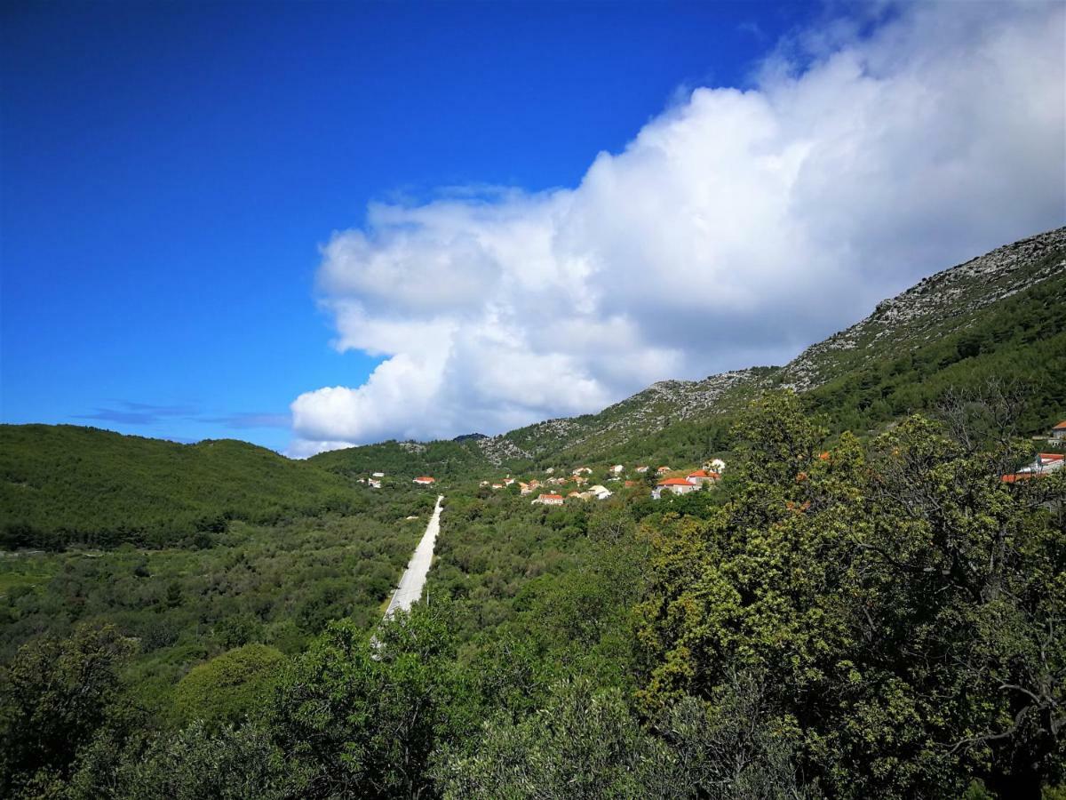 Countryside Vacation House Vitez Babino Polje ภายนอก รูปภาพ