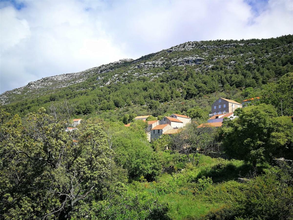 Countryside Vacation House Vitez Babino Polje ภายนอก รูปภาพ
