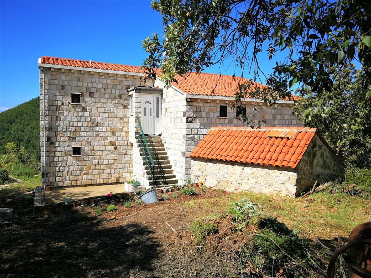 Countryside Vacation House Vitez Babino Polje ภายนอก รูปภาพ