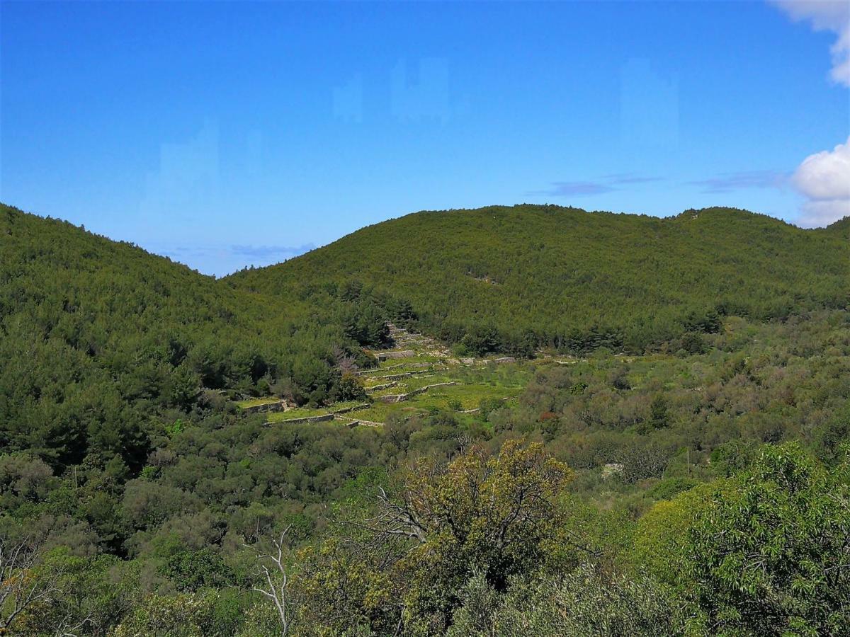 Countryside Vacation House Vitez Babino Polje ภายนอก รูปภาพ