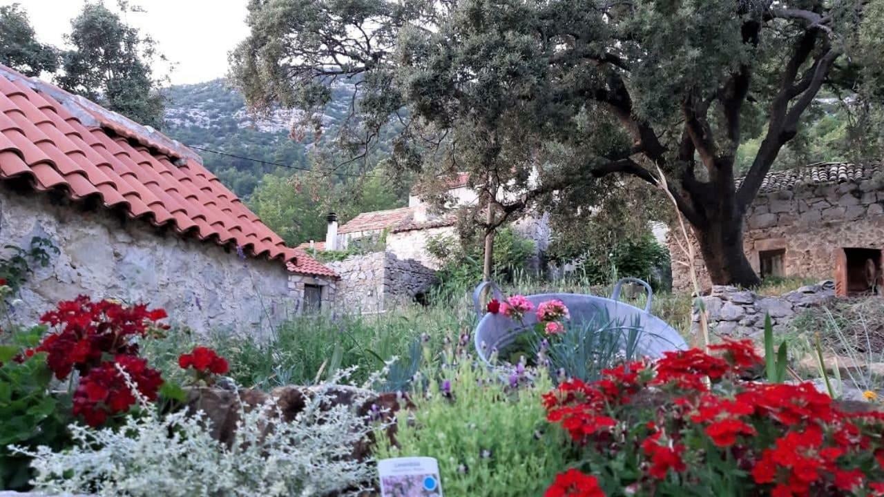 Countryside Vacation House Vitez Babino Polje ภายนอก รูปภาพ